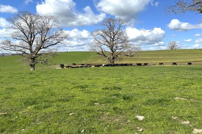 Photo of property in 233b Kio Kio Station Road, Otorohanga, 3974