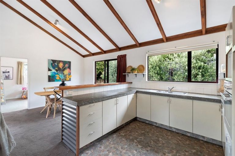 Photo of property in 20 Aspinall Street, Wanaka, 9305