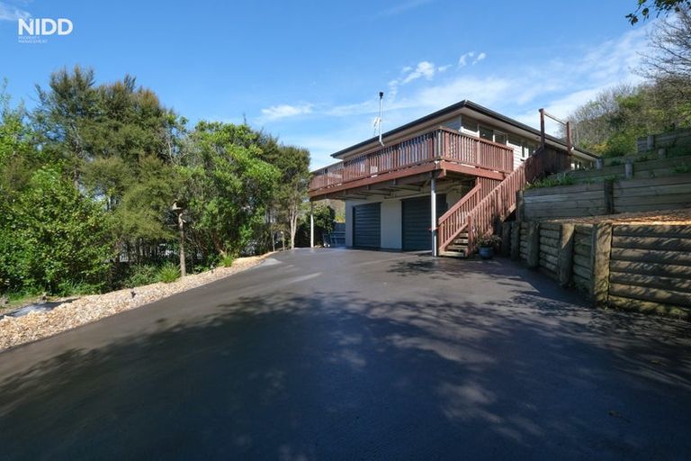 Photo of property in 45 Saint Albans Street, Bradford, Dunedin, 9011