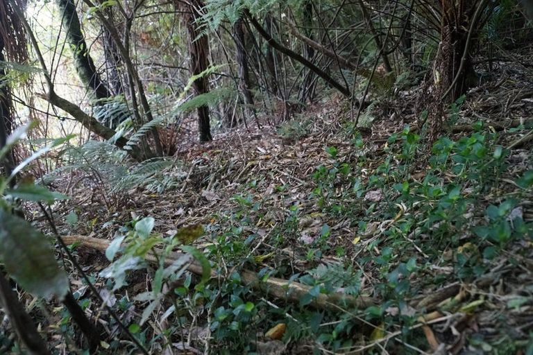 Photo of property in 5 Leith Crescent, Greymouth, 7805