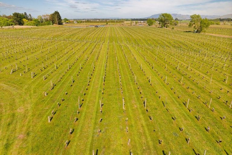 Photo of property in 35 Brighton Street, Island Bay, Wellington, 6023