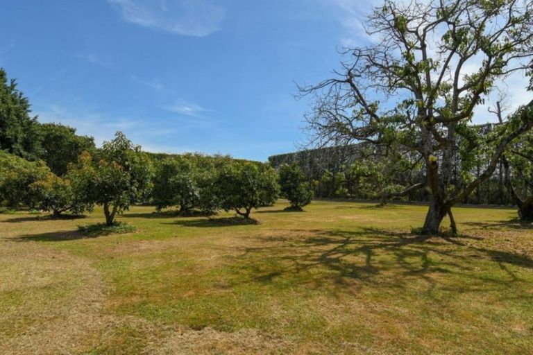 Photo of property in 380b Matahui Road, Aongatete, Katikati, 3181