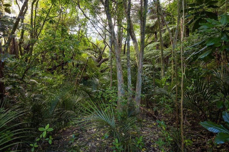 Photo of property in 264 Beach Road, Campbells Bay, Auckland, 0630