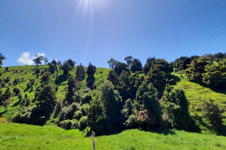 Photo of property in 183 Gunn Road, Warepa, Balclutha, 9273