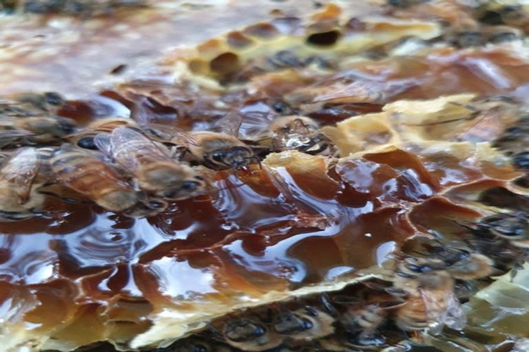 Photo of property in 58 Moroa Road, Tauwharenikau, Featherston, 5771