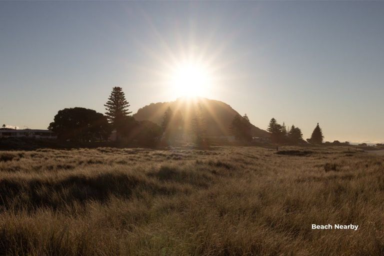Photo of property in 18a Muricata Avenue, Mount Maunganui, 3116