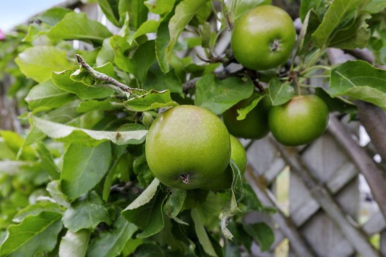 Photo of property in 5 Meadows Avenue, Waiwhetu, Lower Hutt, 5010