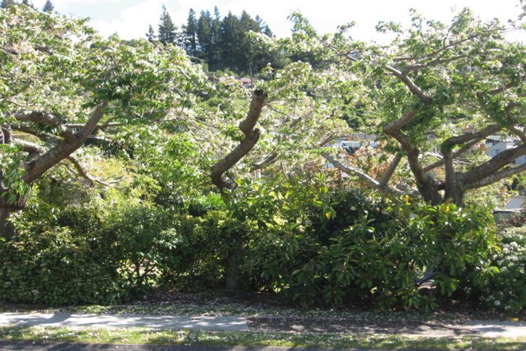 Photo of property in 3 Ewing Grove, Acacia Bay, Taupo, 3330