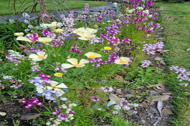 Photo of property in 20 Grace Avenue, Rototuna North, Hamilton, 3210