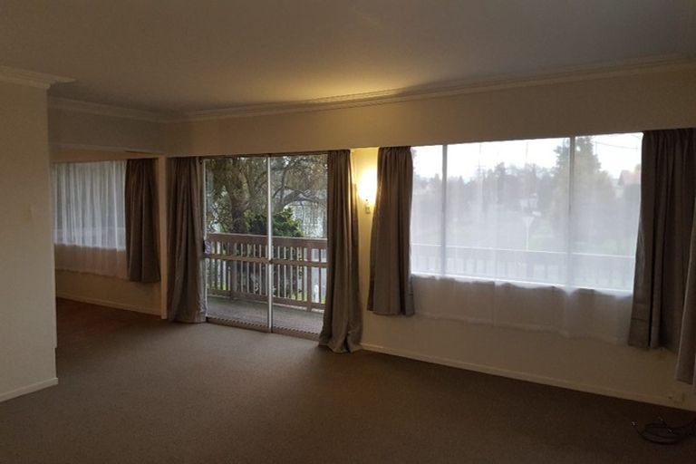 Photo of property in 133 Fitzroy Avenue, Fitzroy, Hamilton, 3206