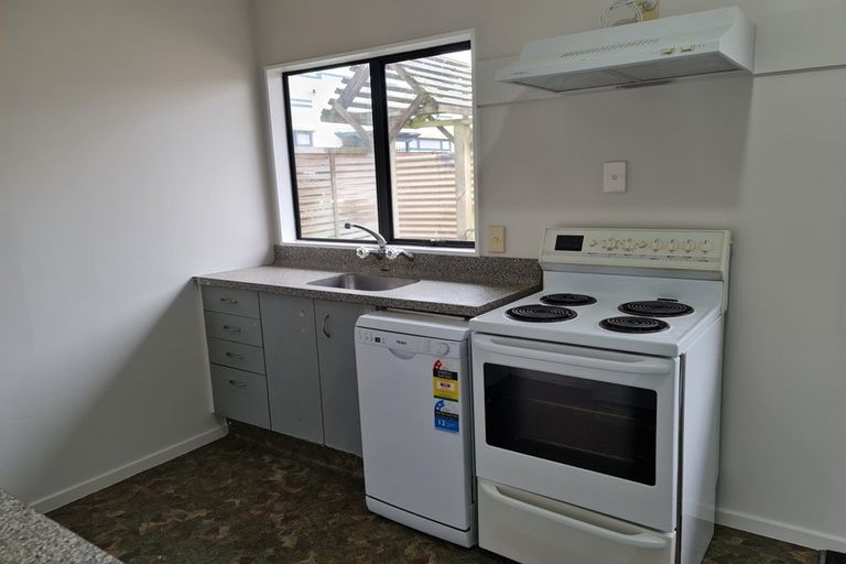 Photo of property in 26a Limbrick Street, Terrace End, Palmerston North, 4410