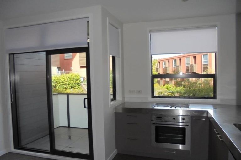 Photo of property in 50 Harold Street, Mount Eden, Auckland, 1024