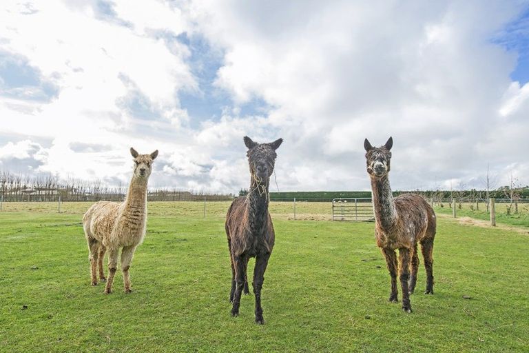 Photo of property in 1630 Clintons Road, Darfield, 7571