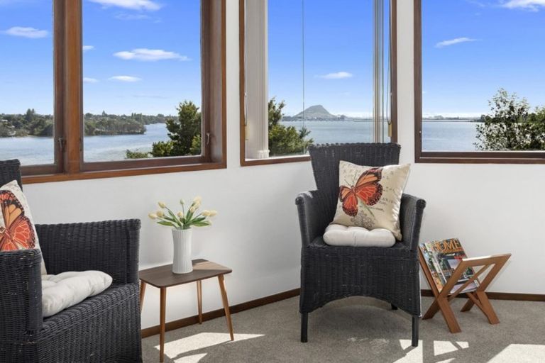 Photo of property in 49 Vine Avenue, Maungatapu, Tauranga, 3112