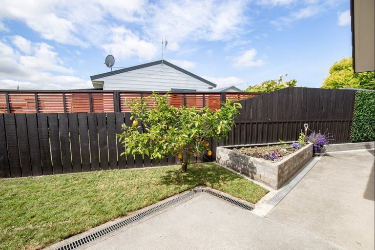 Photo of property in 13a Madgwick Place, Ngatea, 3503