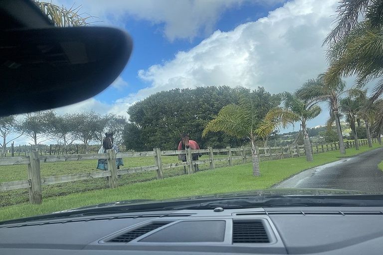 Photo of property in 124 Vaughans Road, Long Bay, Albany, 0792