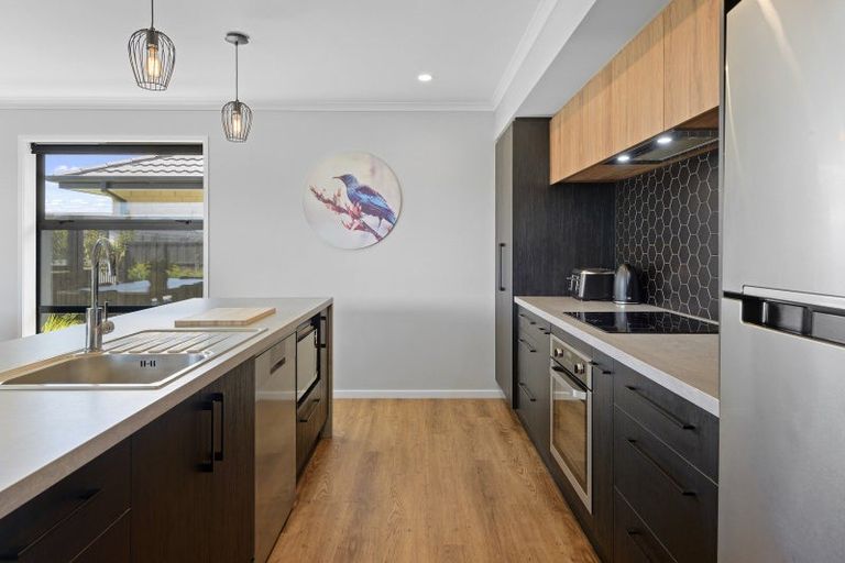 Photo of property in 17 Halpin Drive, Lincoln, 7608