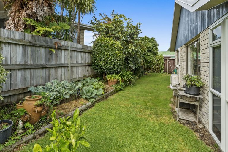 Photo of property in 36b Hillstone Avenue, Gate Pa, Tauranga, 3112