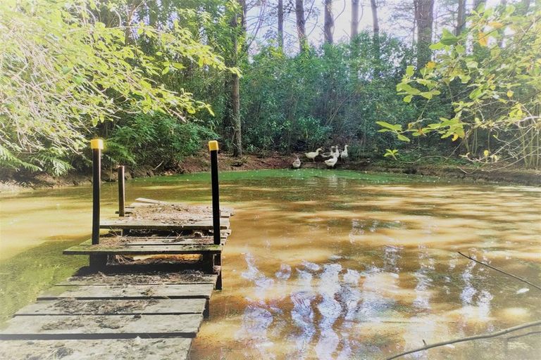 Photo of property in 565 Birch Road East, Herbertville, Dannevirke, 4970