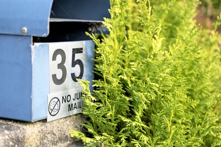 Photo of property in 35 Miller Street, Georgetown, Invercargill, 9812