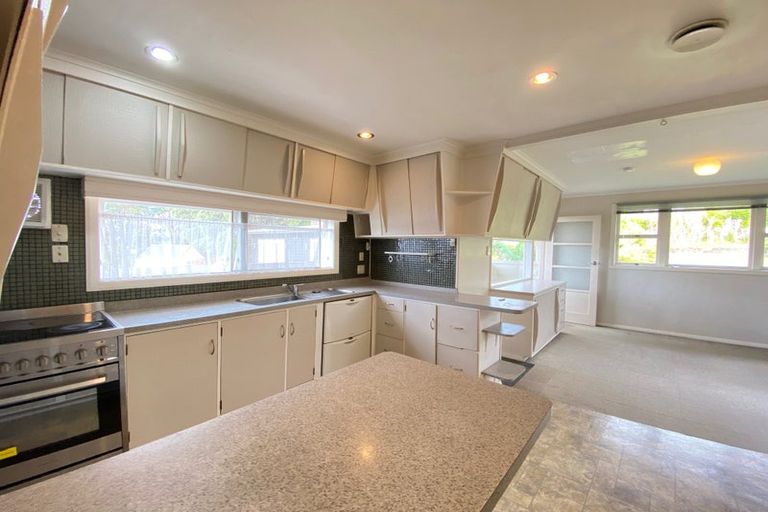 Photo of property in 19 Blease Street, New Lynn, Auckland, 0600