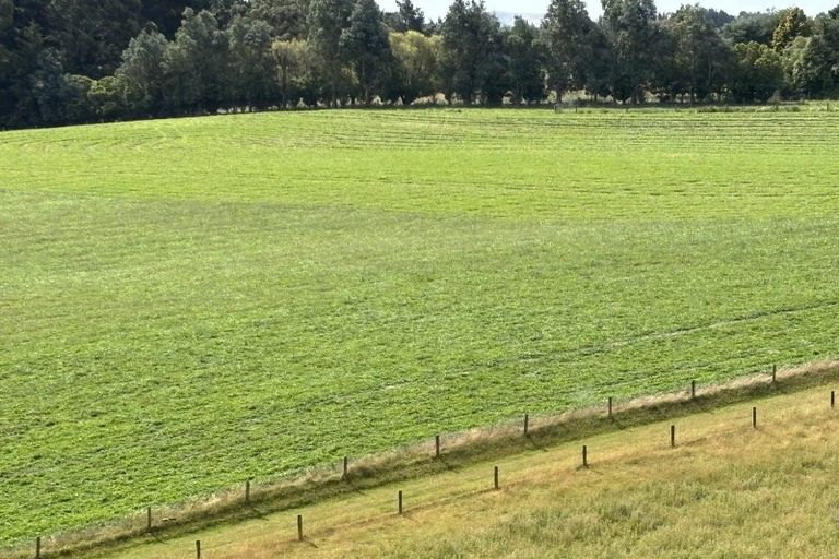 Photo of property in 174 Awamoa Road, Holmes Hill, Oamaru, 9492