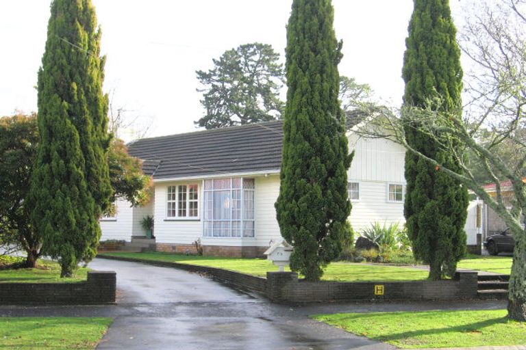 Photo of property in 73 Bruce Avenue, Glenview, Hamilton, 3206