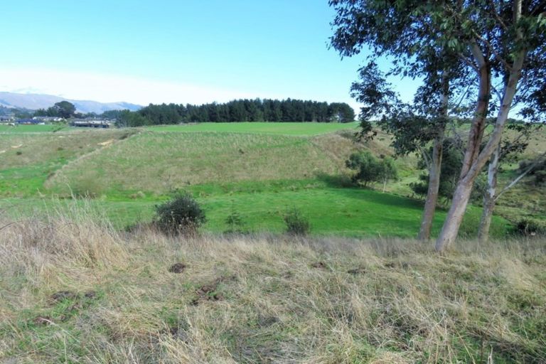 Photo of property in 91 Buckley Road, Shannon, Palmerston North, 4474