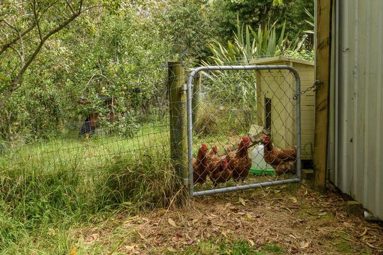Photo of property in 101 Turntable Hill Road, Whakamarama, Katikati, 3181