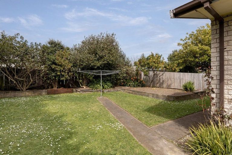 Photo of property in 142 Cambridge Road, Bethlehem, Tauranga, 3110