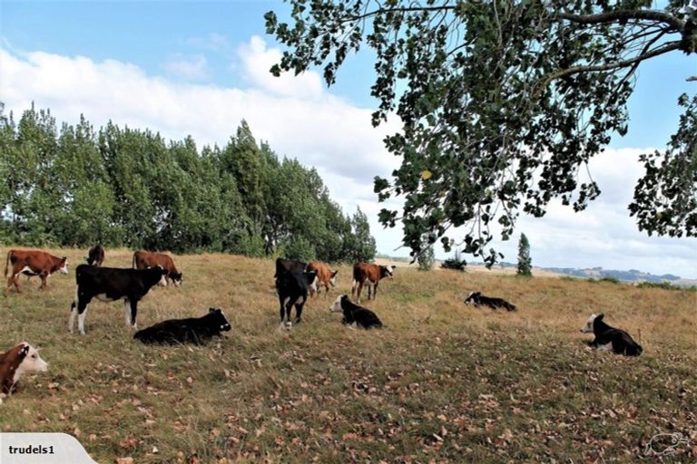 Photo of property in 34 Pendergrast Road, Mangatawhiri, 2471