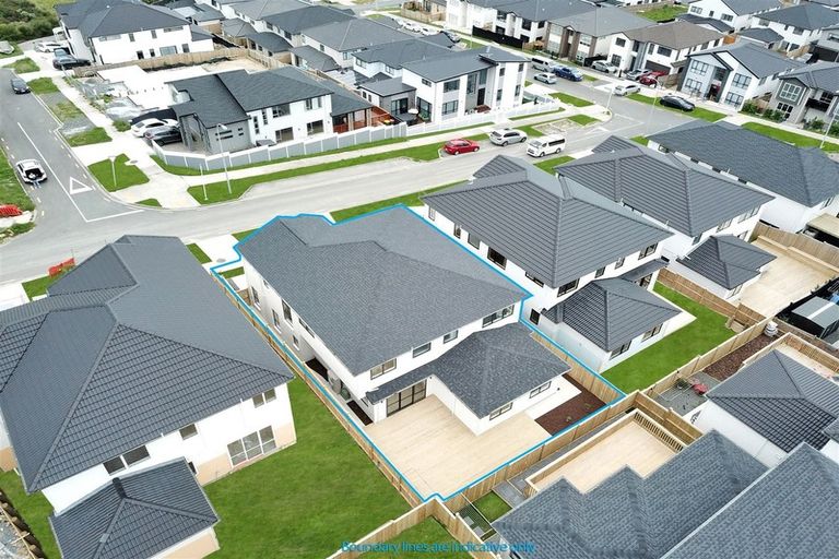 Photo of property in 8 Piki Street, Flat Bush, Auckland, 2019