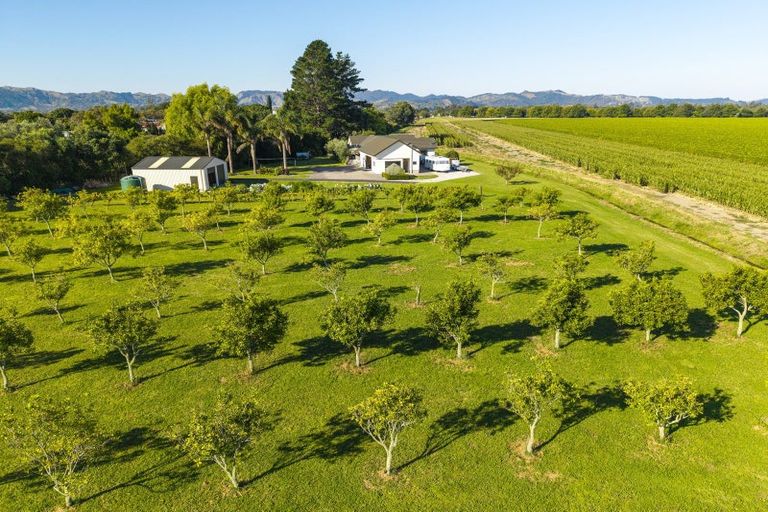 Photo of property in 136a Main Road, Makaraka, Gisborne, 4010