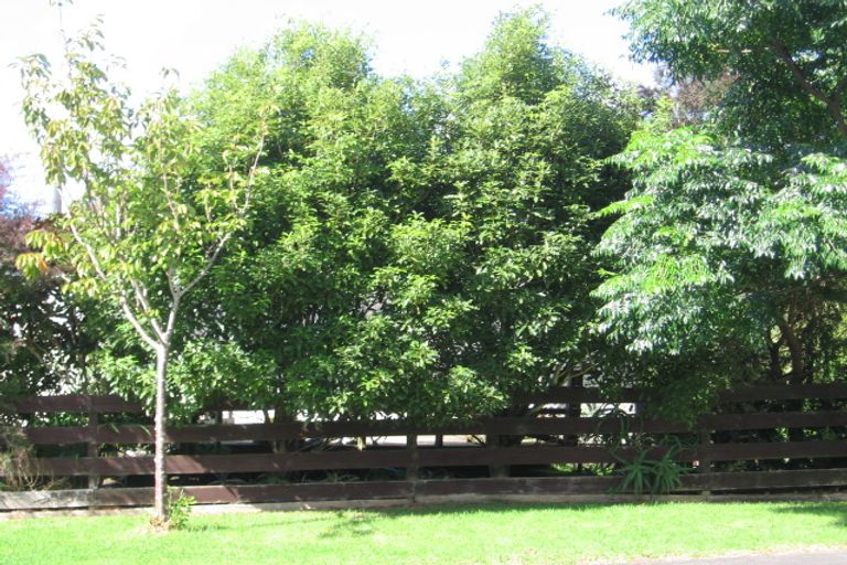 Photo of property in 8 Chislehurst Street, Henderson, Auckland, 0612