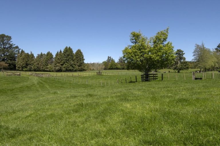 Photo of property in 1299 Omanawa Road, Omanawa, Tauranga, 3171