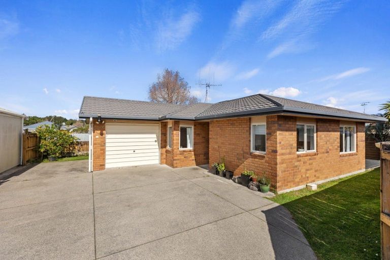 Photo of property in 20 Lisa Place, Brookfield, Tauranga, 3110