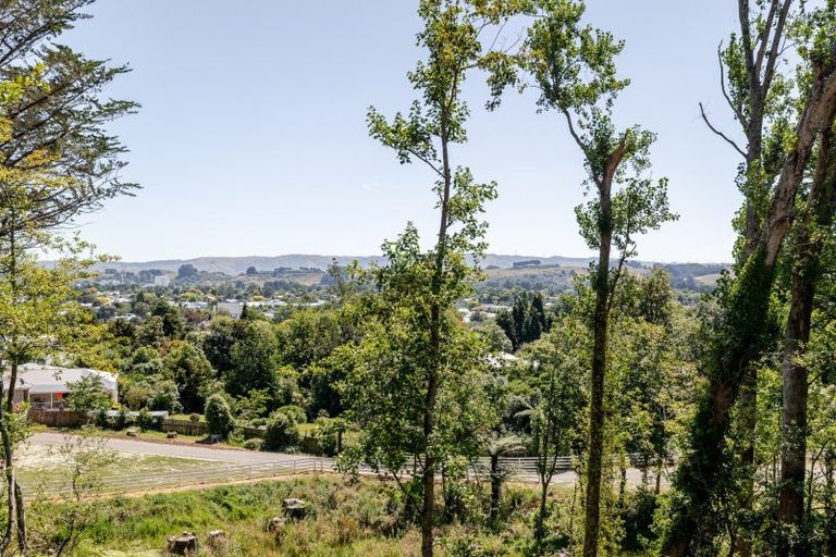 Photo of property in 67 Wakeman Street, Pahiatua, 4910