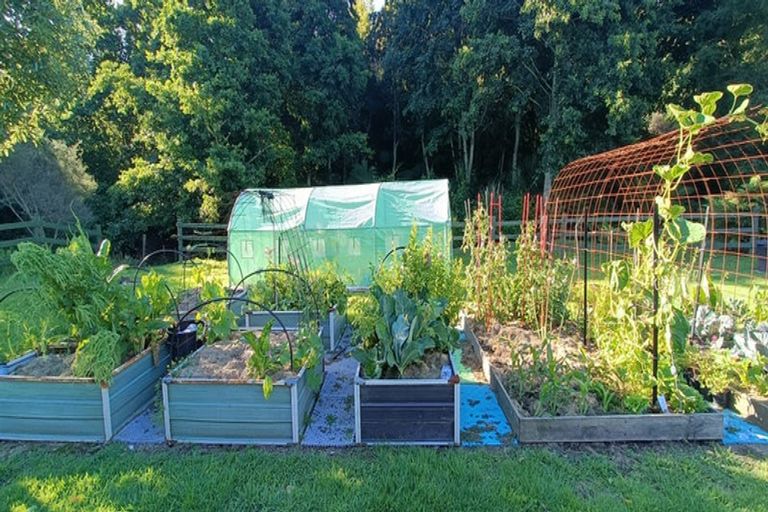 Photo of property in 320a Pikowai Road, Pikowai, Whakatane, 3194