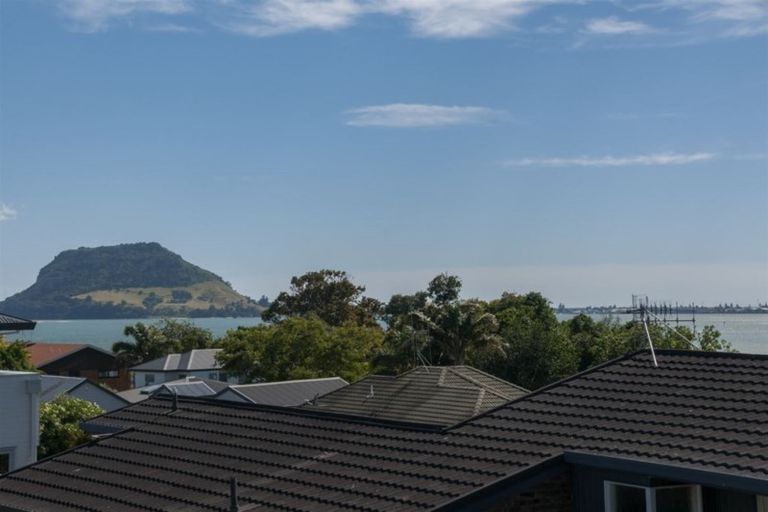 Photo of property in 43 Levers Road, Matua, Tauranga, 3110