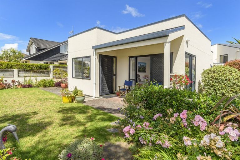 Photo of property in 1/20 Fifth Avenue, Tauranga, 3110
