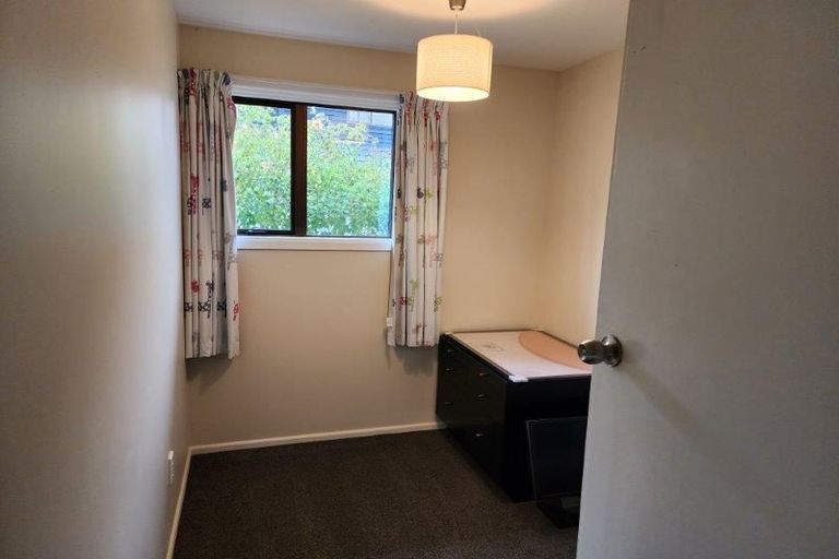 Photo of property in 17 Mcsaveneys Road, Marshland, Christchurch, 8051