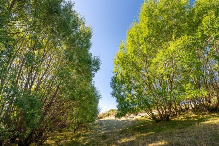 Photo of property in 50 Cliff Road, Tasman, Upper Moutere, 7173