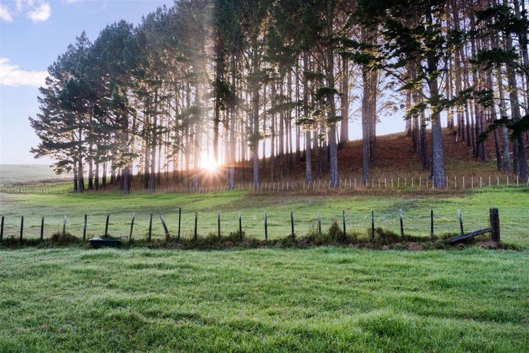 Photo of property in 802 Whareora Road, Whareora, Whangarei, 0175