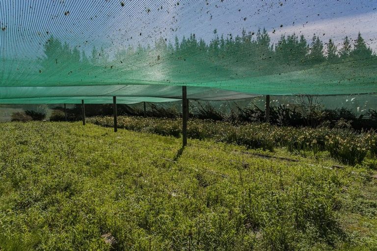 Photo of property in 40 Maskells Road, Balcairn, Amberley, 7481