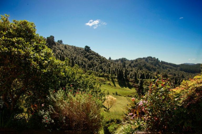 Photo of property in 409 Hokoroa Road, Tauwhareparae, Tolaga Bay, 4077