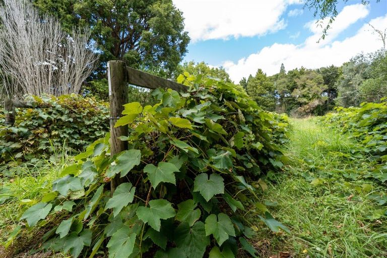 Photo of property in 3687 State Highway 12, Taheke, Kaikohe, 0473