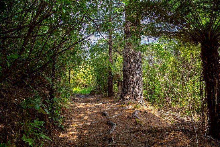 Photo of property in 1789 State Highway 2, Kaitoke, Upper Hutt, 5018