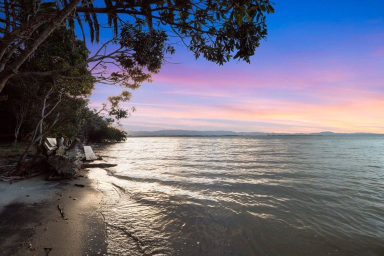 Photo of property in 315 Pahoia Road, Whakamarama, Tauranga, 3172