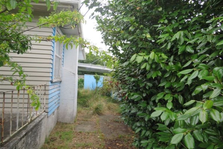 Photo of property in 37 Graham Street, Levin, 5510