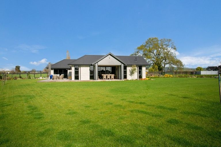 Photo of property in 41 Catalyst Avenue, Leamington, Cambridge, 3432